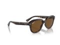 Ray-Ban Erik Naočare za sunce RB 4398 902/57