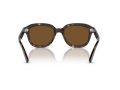 Ray-Ban Erik Naočare za sunce RB 4398 902/57