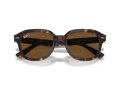 Ray-Ban Erik Naočare za sunce RB 4398 902/57