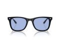 Ray-Ban Naočare za sunce RB 0RB4420 601/80