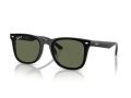 Ray-Ban Naočare za sunce RB 4420 601/9A