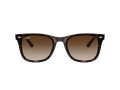 Ray-Ban Naočare za sunce RB 4420 710/13