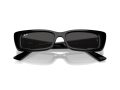 Ray-Ban Teru Naočare za sunce RB 4425 667787