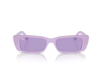 Ray-Ban Teru Naočare za sunce RB 4425 67581A