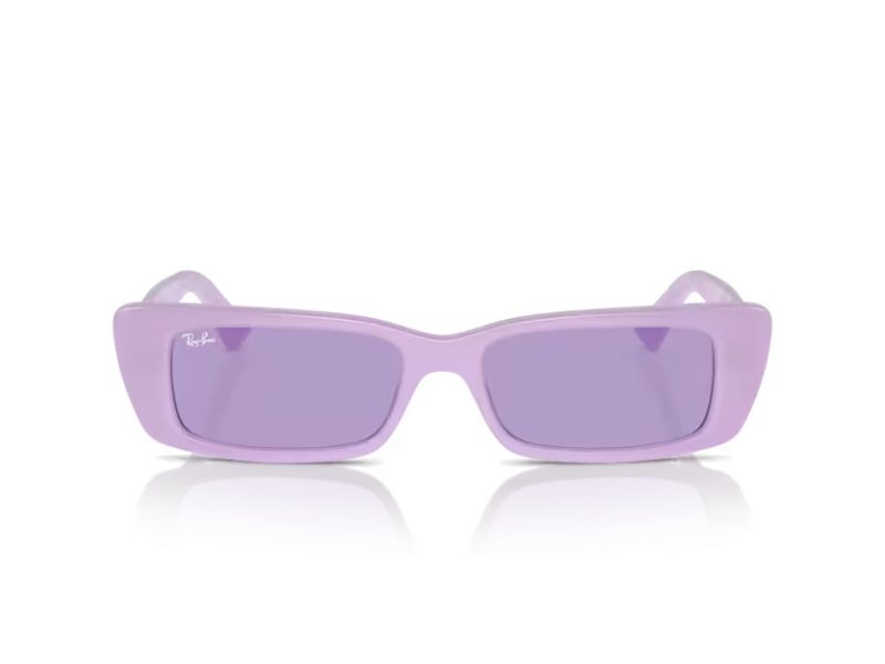 Ray-Ban Teru Naočare za sunce RB 4425 67581A