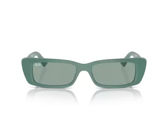 Ray-Ban Teru Naočare za sunce RB 4425 676282