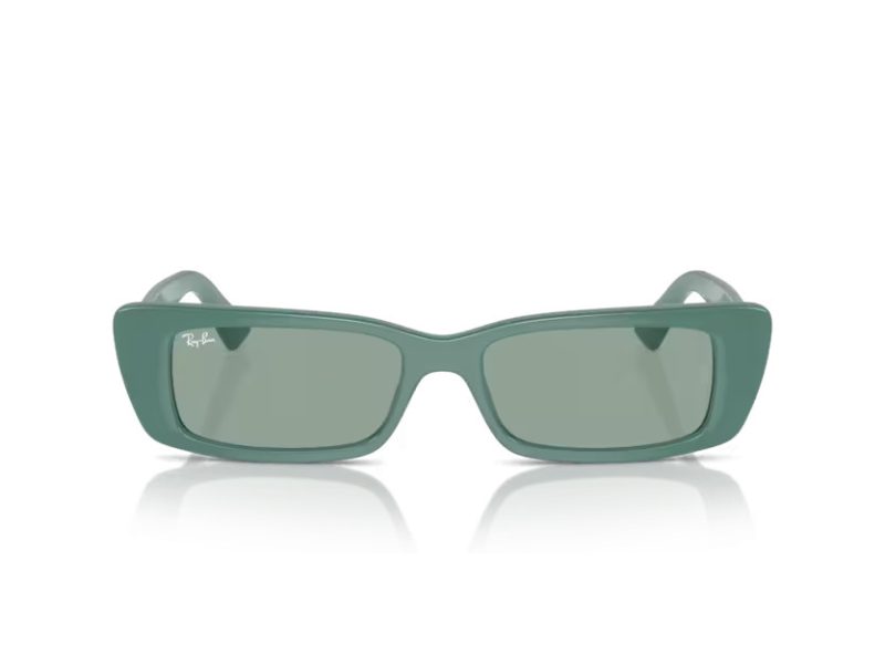 Ray-Ban Teru Naočare za sunce RB 4425 676282