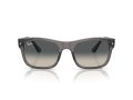 Ray-Ban Naočare za sunce RB 0RB4428 667571