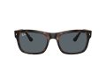 Ray-Ban Naočare za sunce RB 0RB4428 710/R5
