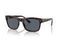 Ray-Ban Naočare za sunce RB 0RB4428 710/R5