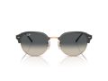 Ray-Ban Naočare za sunce RB 0RB4429 672071