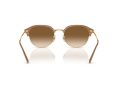 Ray-Ban Naočare za sunce RB 0RB4429 672151
