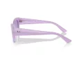 Ray-Ban Zena Naočare za sunce RB 4430 67581A