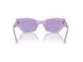 Ray-Ban Zena Naočare za sunce RB 4430 67581A