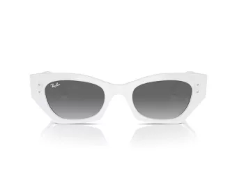 Ray-Ban Zena Naočare za sunce RB 4430 675911