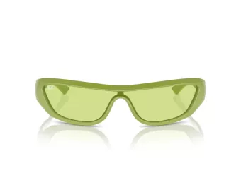 Ray-Ban Xan Naočare za sunce RB 4431 6763/2