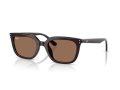 Ray-Ban Naočare za sunce RB 4439D 623173