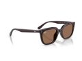 Ray-Ban Naočare za sunce RB 4439D 623173