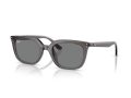 Ray-Ban Naočare za sunce RB 4439D 667587