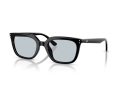 Ray-Ban Naočare za sunce RB 4439D 901/72