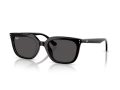Ray-Ban Naočare za sunce RB 4439D 901/87