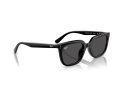 Ray-Ban Naočare za sunce RB 4439D 901/87