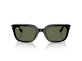 Ray-Ban Naočare za sunce RB 4439D 901/9A