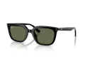Ray-Ban Naočare za sunce RB 4439D 901/9A