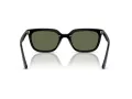 Ray-Ban Naočare za sunce RB 4439D 901/9A