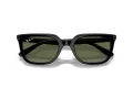 Ray-Ban Naočare za sunce RB 4439D 901/9A