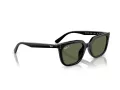 Ray-Ban Naočare za sunce RB 4439D 901/9A