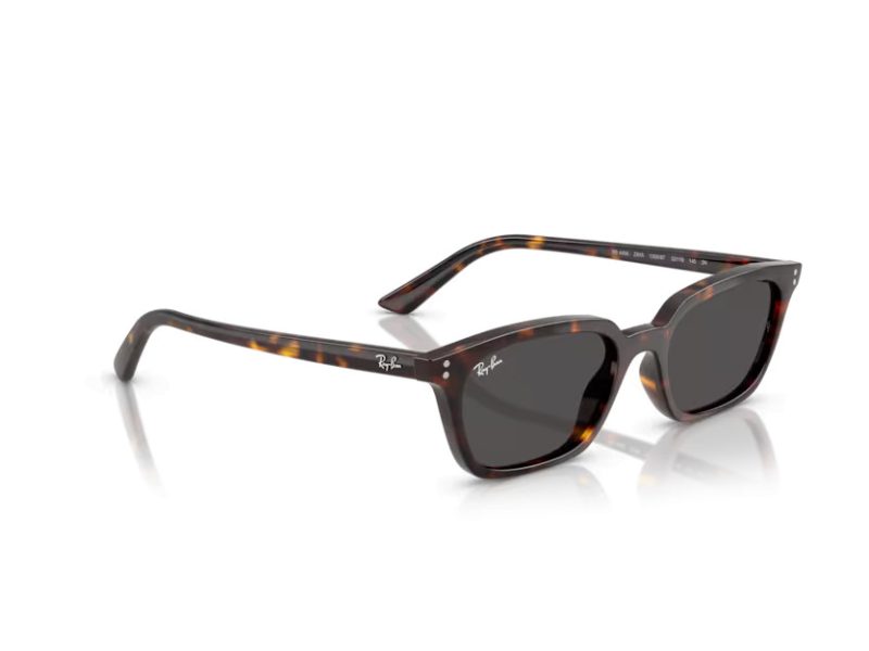 Ray-Ban Zaya Naočare za sunce RB 4456 135987