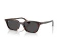 Ray-Ban Zaya Naočare za sunce RB 4456 135987