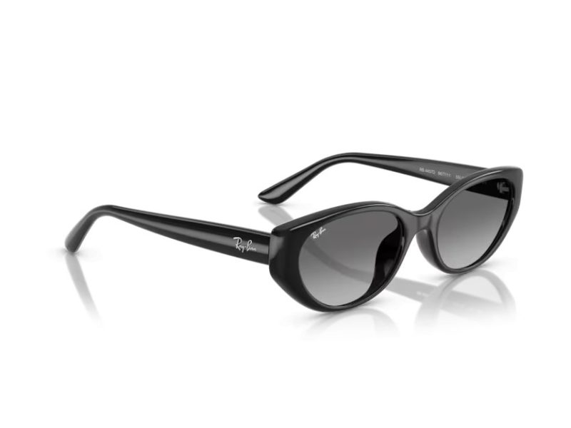 Ray-Ban Naočare za sunce RB 4457D 667711