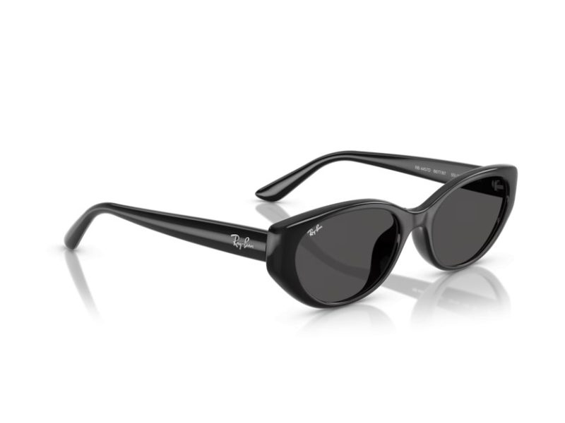 Ray-Ban Naočare za sunce RB 4457D 667787