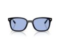 Ray-Ban Naočare za sunce RB 4461D 601/80