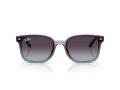 Ray-Ban Naočare za sunce RB 4461D 64508G