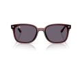 Ray-Ban Naočare za sunce RB 4461D 659373