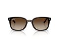 Ray-Ban Naočare za sunce RB 4461D 710/13