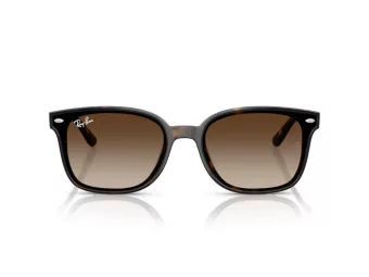 Ray-Ban Naočare za sunce RB 4461D 710/13