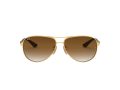 Ray-Ban Carbon Fibre Naočare za sunce RB 8313 001/51