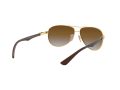 Ray-Ban Carbon Fibre Naočare za sunce RB 8313 001/51