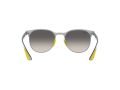 Ray-Ban Naočare za sunce RB 8327M F080/11
