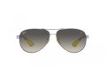 Ray-Ban Naočare za sunce RB 8331M F08311