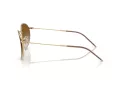 Ray-Ban Round Reverse Naočare za sunce RB R0103S 001/CB