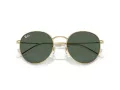 Ray-Ban Round Reverse Naočare za sunce RB R0103S 001/VR