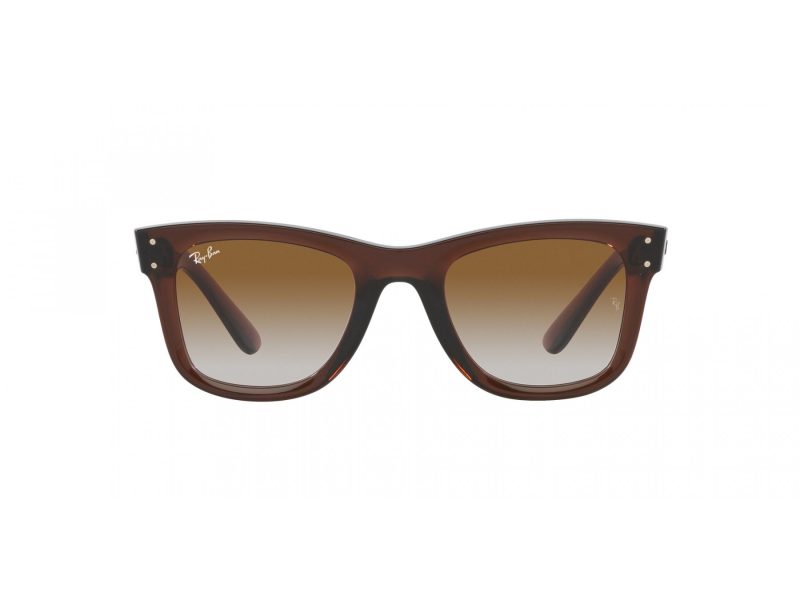 Ray-Ban Wayfarer Reverse Naočare za sunce RB R0502S 6709CB
