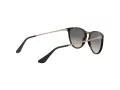Ray-Ban Junior Erika Naočare za sunce RJ 9060S 704911