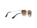 Ray-Ban Junior Erika Naočare za sunce RJ 9060S 7108/13
