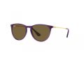 Ray-Ban Junior Erika Naočare za sunce RJ 9060S 713173